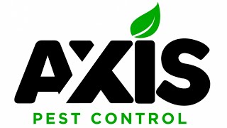 Axis Pest Control Las Vegas Remarkable Five Star Review by Kathy Jacque