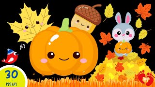 Pumpkin & Autumn Leaves Baby Sensory | High Contrast Video with Soothing Music