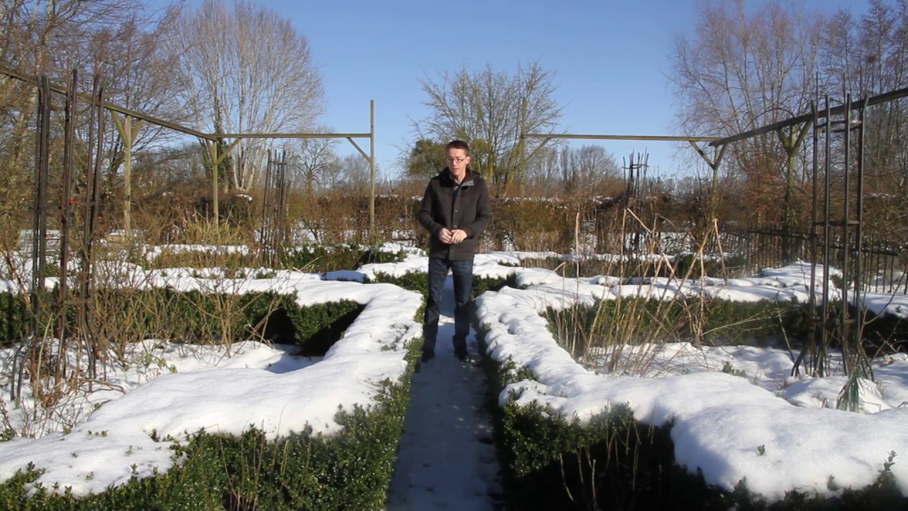 Que faire lorsqu'il a neigé au jardin ? (avec vidéo) 