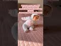 ماذا يفعل الطفل في عمر ستة أشهر دليل للأمهات الجدد تطور الطفل مراحل النمو ماما عمر 6 شهور