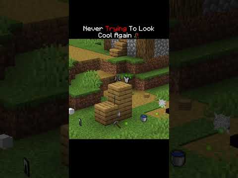Never Ever 🥀🙂 | #minecraft #gaming #visual #shorts