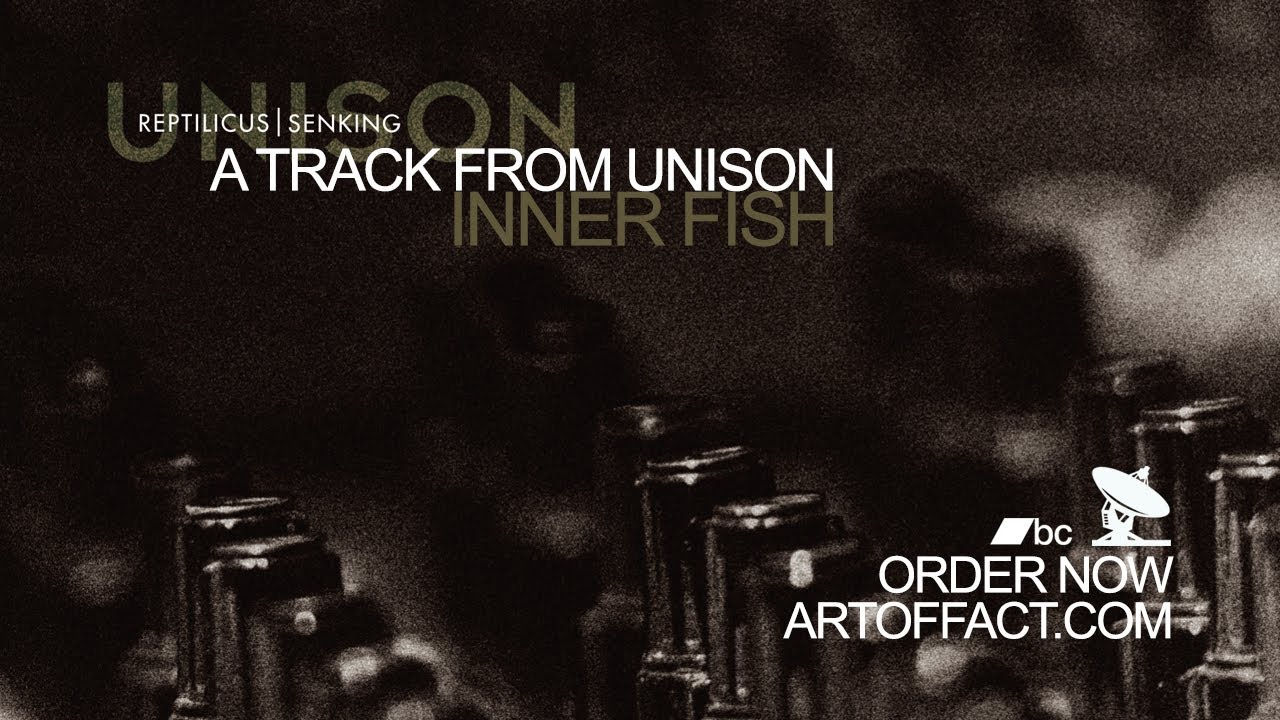 Guarda REPTILICUS & SENKING: Inner Fish #darktechno #Iceland #modular #synthesizer su YouTube Guarda REPTILICUS & SENKING: Inner Fish #darktechno #Iceland #modular #synthesizer su YouTube