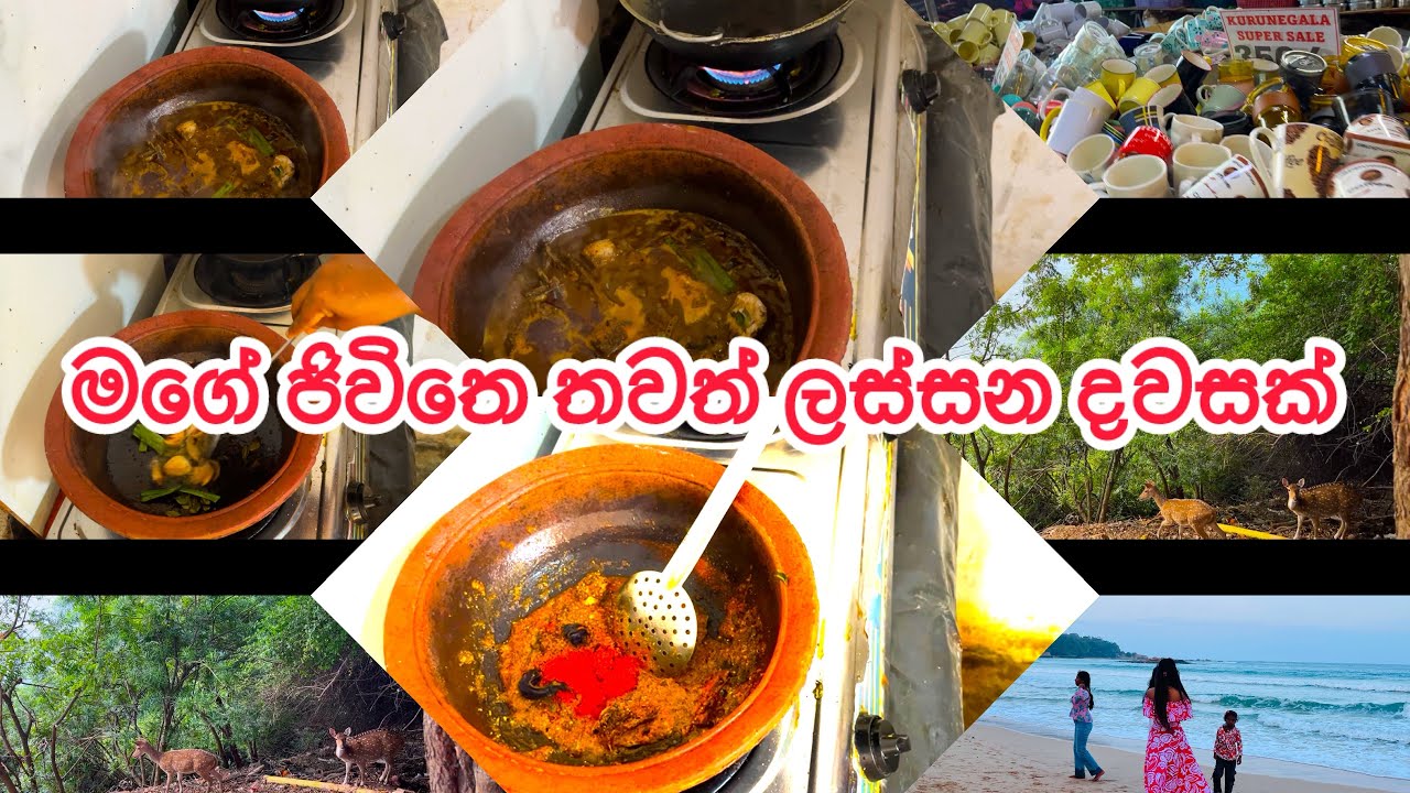 මගෙ ජිවිතෙ තවත් ලස්සන දවස් කිපයක් මතක පොතට එකතු කර ගත්තා🥰🥰