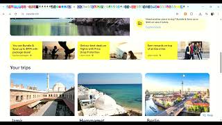 Expedia Travel Vacation Homes, Hotels, Car Rentals, Flights & More