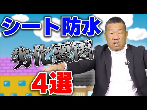 シート防水が施されたベランダや屋上の適切なメンテナンス