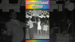 Celebrity Have you heard of Sir Lady Java? Net Worth