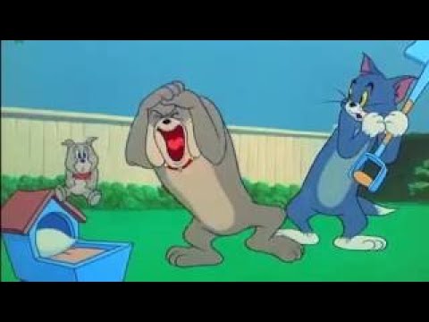 Tom And Jerry Strikes Compilation 2016 Part 12 