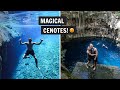 The BEST day trip to CENOTES from Mérida, Mexico! (TWO cenotes, a hacienda, &amp; MAYAN food)