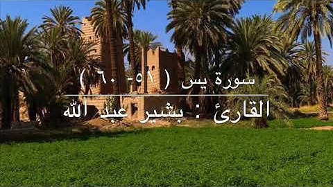 سورة يس القارئ : بشير عبد الله