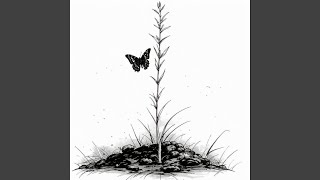 Skyward