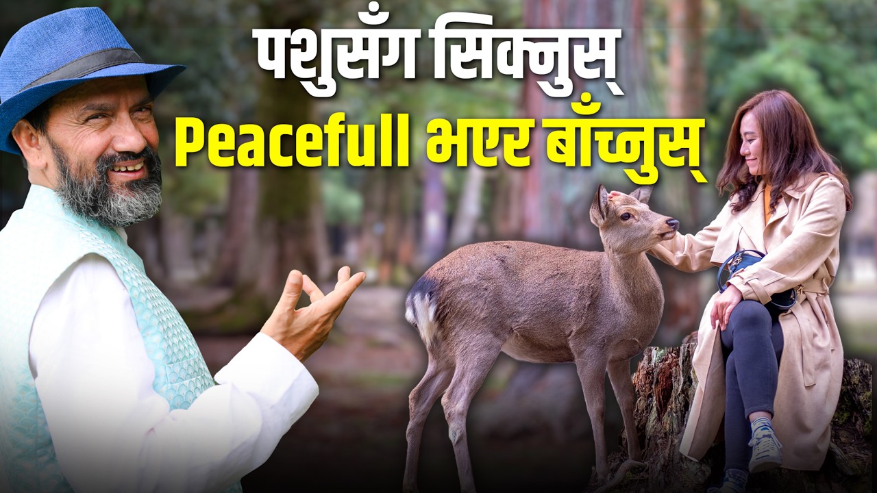 Learn From Animals Not to Be Traumatized  | Dr.Yogi Vikashananda |‪‪@globalfamilymovement007 Ep-13