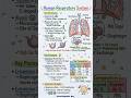 Human Respiratory System Explaination #knowledgeispower #human #respiratorysystem #science #viral