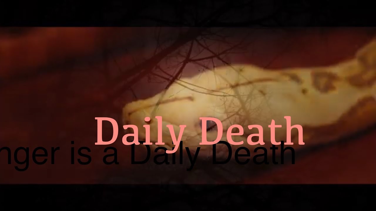 Anger is a Daily Death, Peace is the Cure