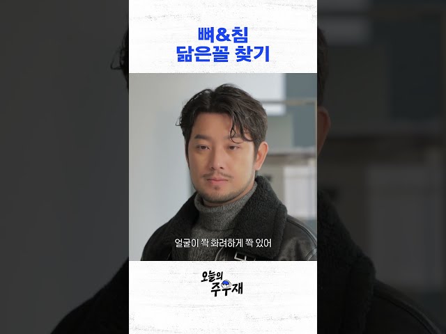 닮은꼴 조롱 배틀;