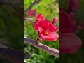 ♦️Любви Духа,«ДРУГАЯ» Любовь,которой мы охвачены теми кто мы есть,были и будем #ioannaserafim #tarot