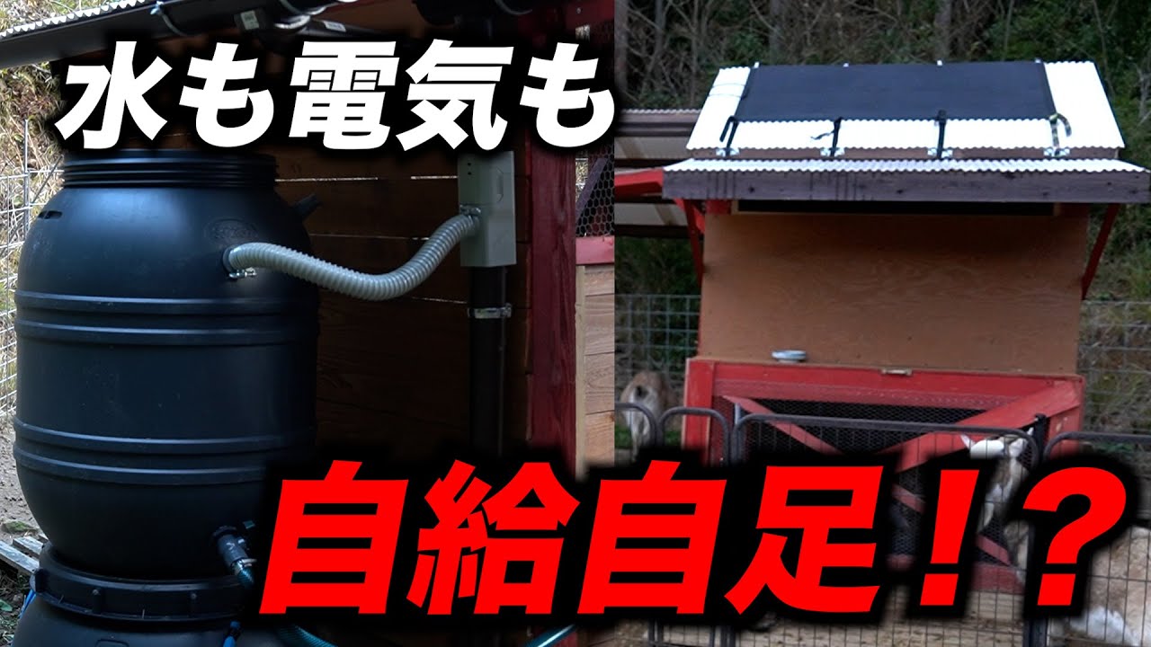 鶏だけじゃ物足りない！水も電気も自給自足！？