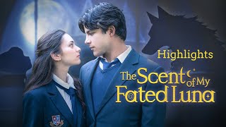 Highlights|Emilia pleads to mom, But I like him, Mom! He's different!🥺|The Scent of My Fated Luna