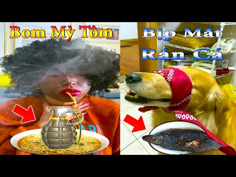 Thú Cưng TV | Dương KC Pets | Gâu Đần và Bà Mẹ #3 | chó thông minh vui nhộn | funny cute smart dog