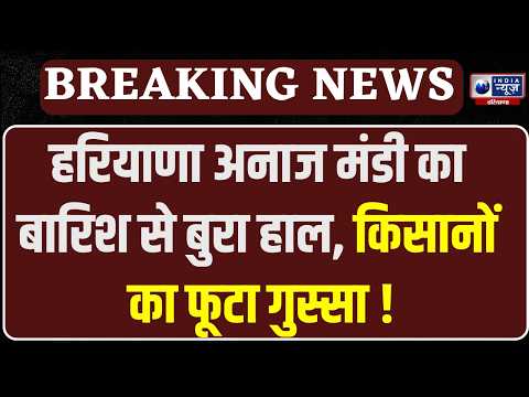 Haryana Dhan Kharid : Ballabhgarh मंडी में भीगा धान, किसानों को ₹800 प्रति क्विंटल तक नुकसान का डर|