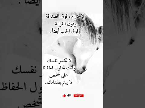 الإحترام فوق الصداقه وفوق القرابة وفوق الحب أيضا