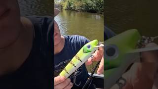 Hottest Spring Bait