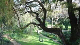 Monteiro-Mor Botanical Garden Lisbon