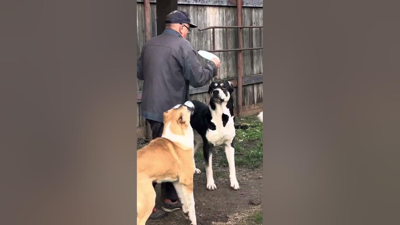 ОСТОРОЖНО ! НЕНОРМАТИВНАЯ ЛЕКСИКА - YouTube