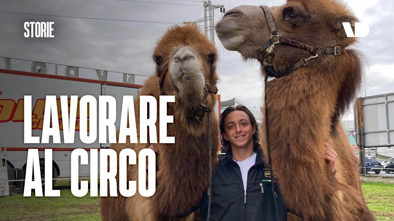Cosa significa lavorare in un circo