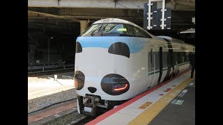 JR新大阪駅にて（2019年3月9日撮影）パンダくろしおSmileアドベンチャートレイン