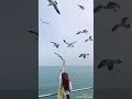 قد اشرق نورك في قلبي قد اشرق نورك في قلبي