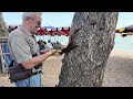 Beach Adventures: Man Feeds Squirrels At The Same Tree For 33 Years