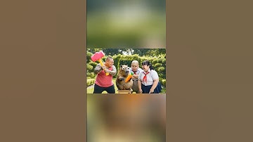 Capybara bị Hùng trọc đổ tội thịt con gà của anh 2 #capybara