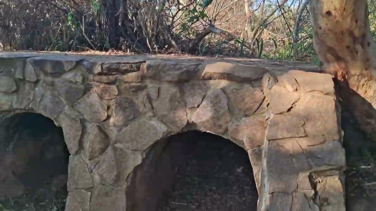 وادي اعيون . ٣/٣/٢٠٢٦ . כפר יובל . נחל אעיון .