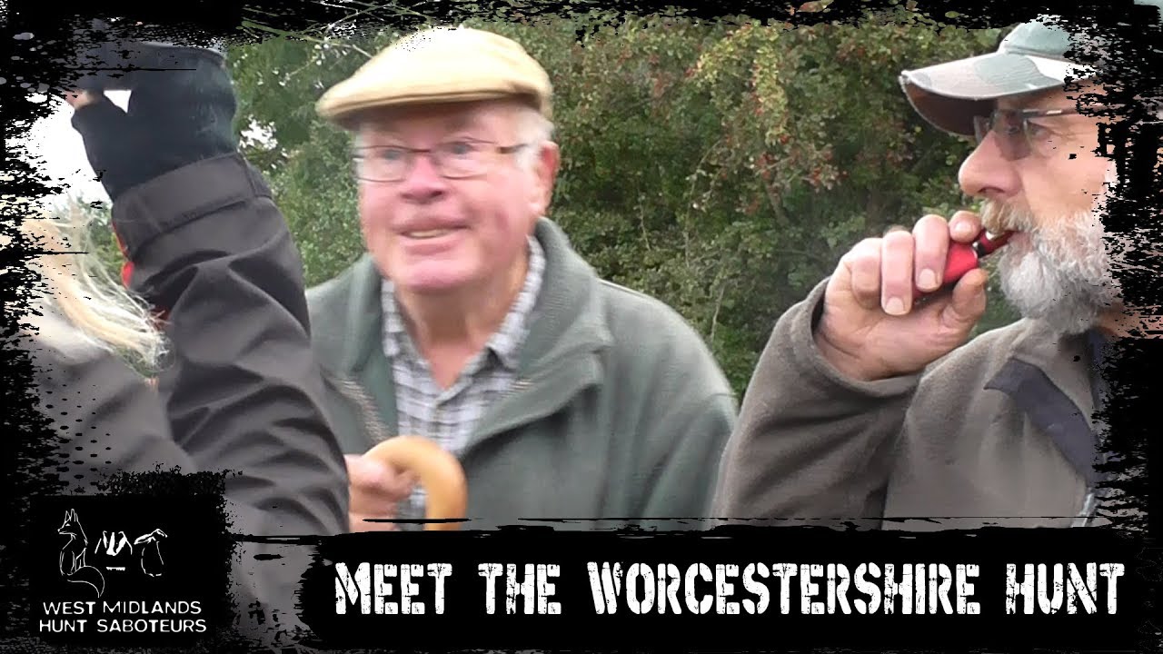 Meet the Worcestershire Hunt