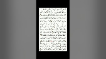 القران الكريم| القارئ ياسر الدوسري صفحة 7 سورة البقرة