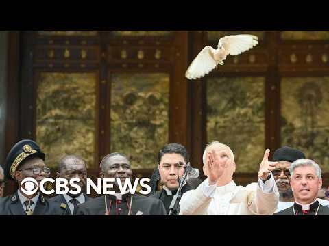 Watch Pope Leo's visit to Cameroon, drawing over 100,000 worshippers