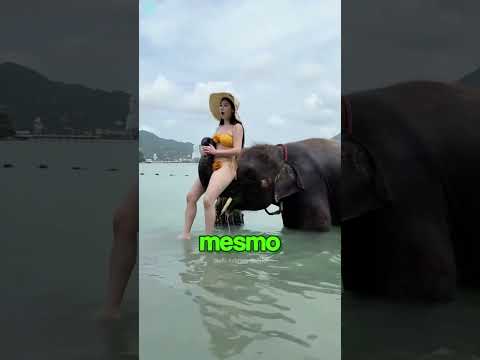 🐘 A Força da Tromba do Elefante