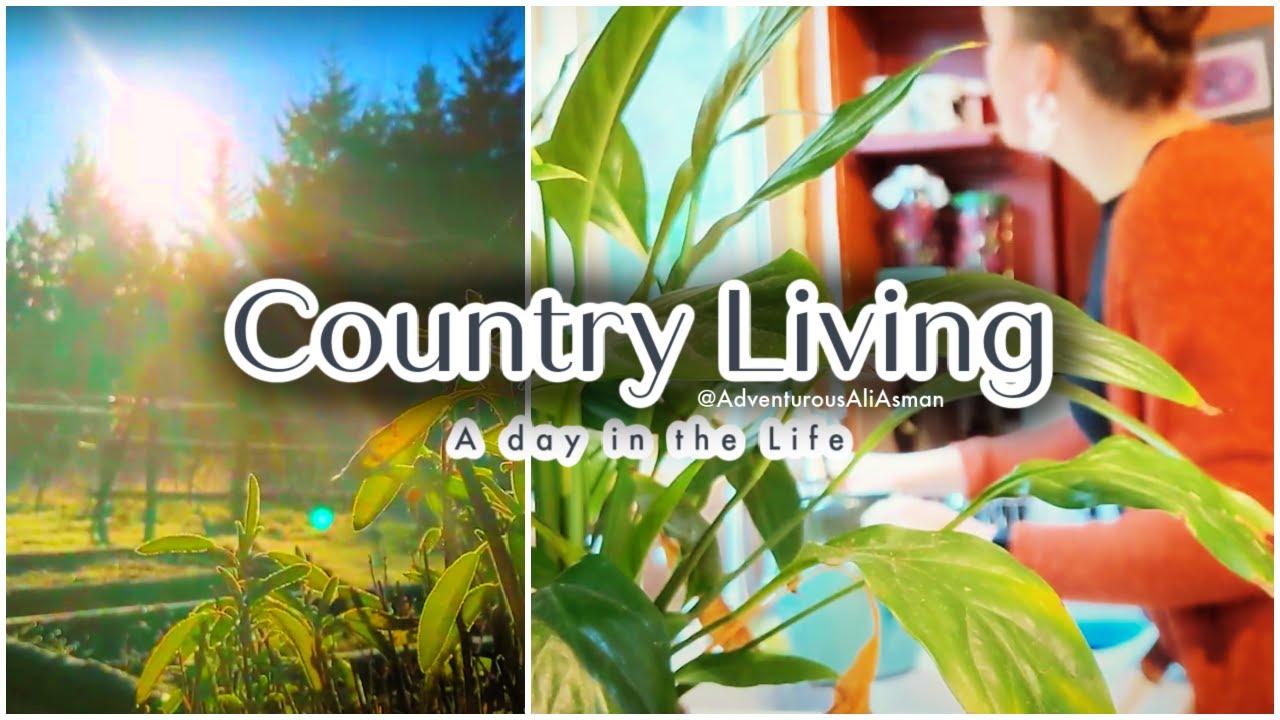 A Day in The Life: Country Living | Life in the Oregon Countryside | Homestead Chores