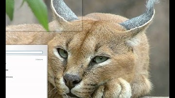 Kde 4.3.2 Arch Linux