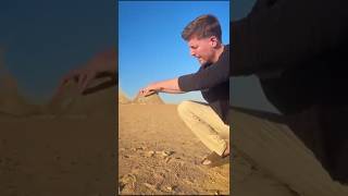 This Is How The Pyramids Were Built#mrbeast