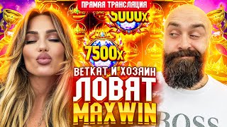 Хозяин и BetKat Заносят МАКСВИН в Прямом Эфире! Заносы Недели Прямой Эфир Стрим Онлайн