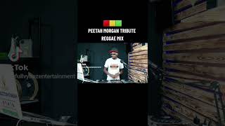 PEETAH MORGAN TRIBUTE REGGAE MIXTAPE🔥🔥🔥🟥🟨🟩 #trending #reggae #viral #peetahmorgan #Morganheritage