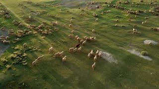 Famous Many are called; few are chosen (Matthew 22:14)  - William Branham, 56-0129 - The Supernatural Wealth