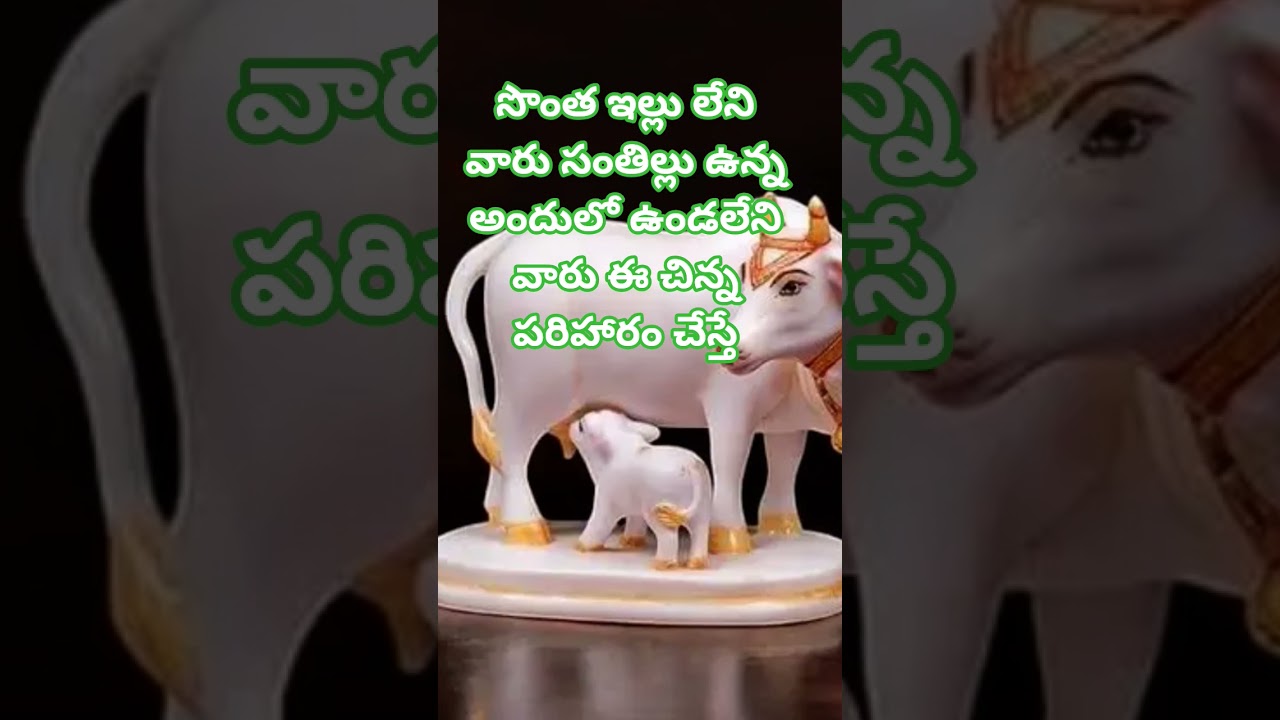 #సొంత ఇల్లు లేని వారు ఈ చిన్న పరిహారం చేయండి..# మాచిరాజు..