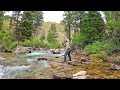 Fly Fishing the most INCREDIBLE Stream in Wyoming  - Fly Fishing Wyoming (part 3)