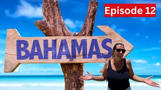 What Is There To Do In Nassau Bahamas(Top Shore Excursions)