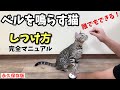 【ベルを鳴らす猫】呼び鈴の教え方しつけ方を全て公開します【永久保存版】