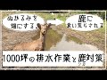 ドロドロ庭の排水作業。鹿のオクラパーティー編