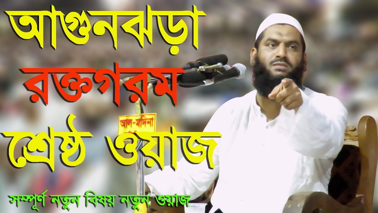 Download Bangla New Waz Mahfil 2017 Maulana Mufti Mamunul 
