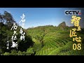 《智在匠心》揭秘大红袍的制作技艺！茶人匠心 成就岩骨气韵：刘国英 EP08【CCTV纪录】